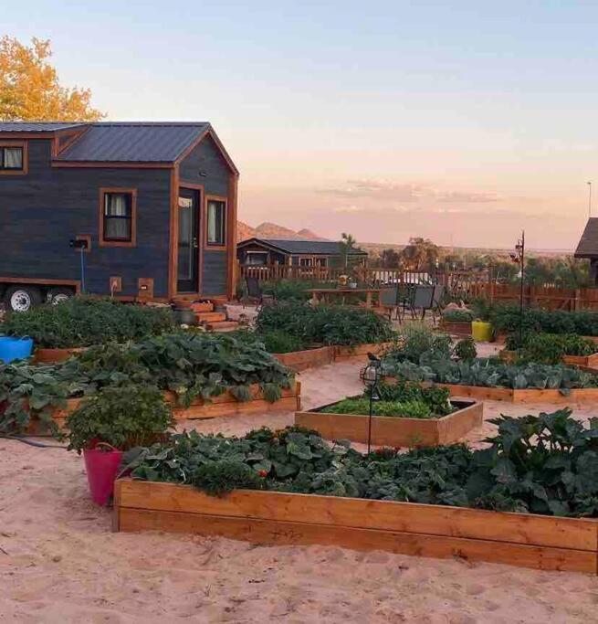 Atlantis Garden Tiny Home Hildale Εξωτερικό φωτογραφία
