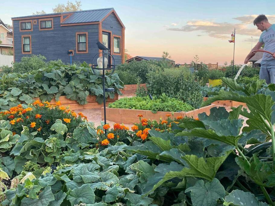 Atlantis Garden Tiny Home Hildale Εξωτερικό φωτογραφία
